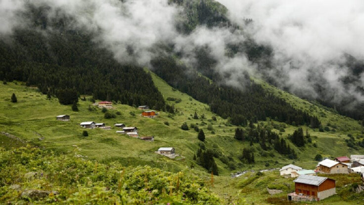 Karadeniz’e Yoğun İlgi: Yeşilin Bin Tonu ile Yayla Turizmi Gözde Rota Haline Geliyor