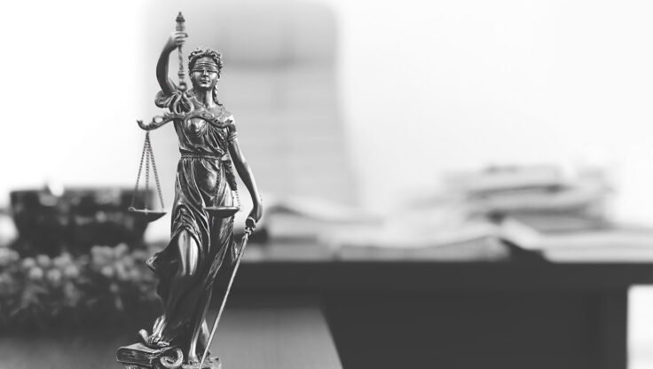Polis Davaları Avukatı İle Yürütülen Dosya Ve Belge Hazırlığı Süreçleri