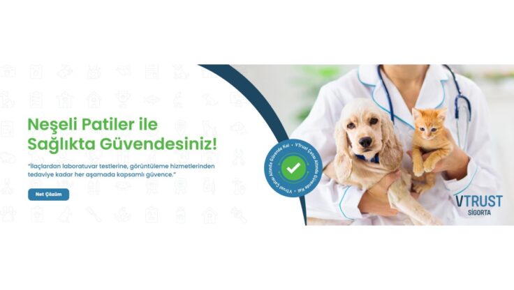 Evcil Hayvan Sigortası Nedir Ve Nasıl Başvurulur?